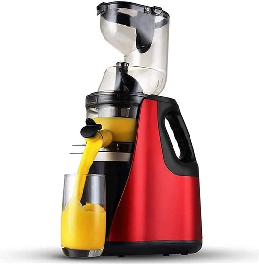 Masticating Juicer Machine met 80mm, 23 x 14 x 43 cm, 50 Hz, 150 W en RVS