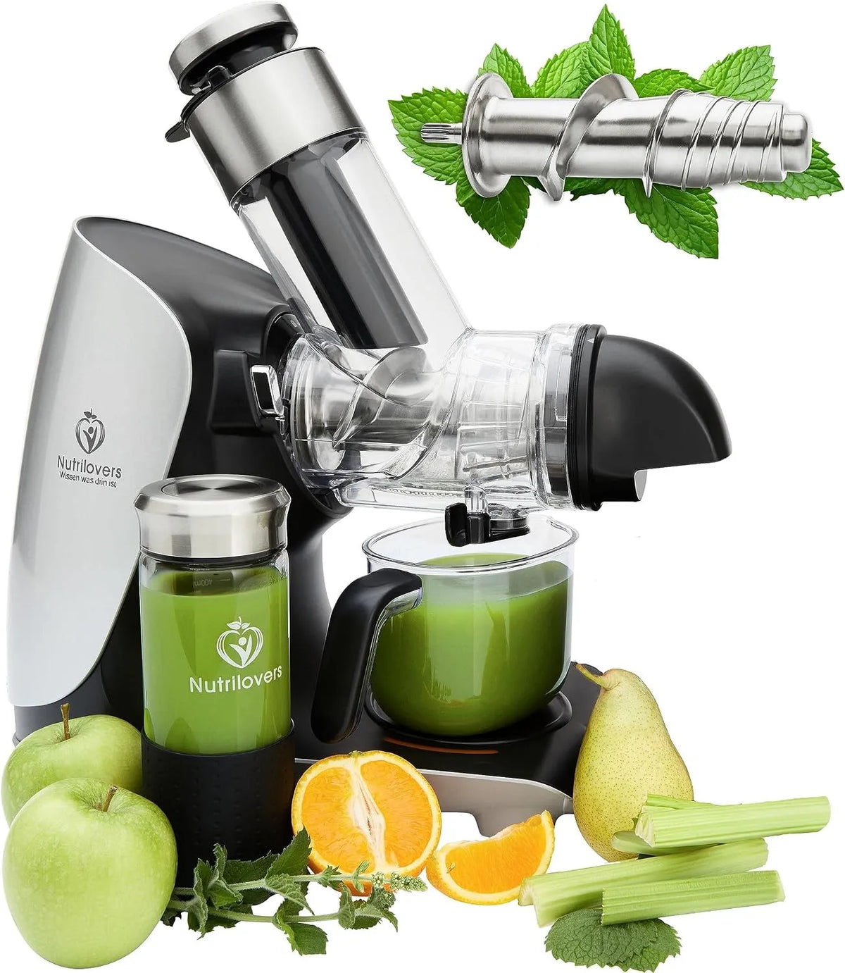Groen-PRESS EDELSTAHL Slow Juicer Schacht BPA-vrij Voor Hele Vruchten, Selderij, Groenten en Fruit, Testwinnaar