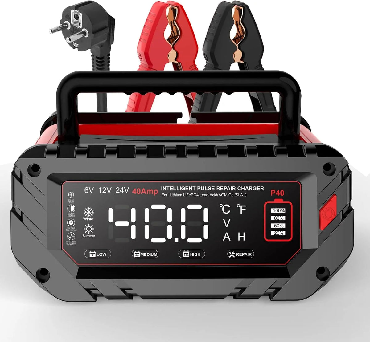 Lader, 40A, 6V, LiFePO4-accu's, Gel, EFB, automatisch opladen, compatibel met 6 V