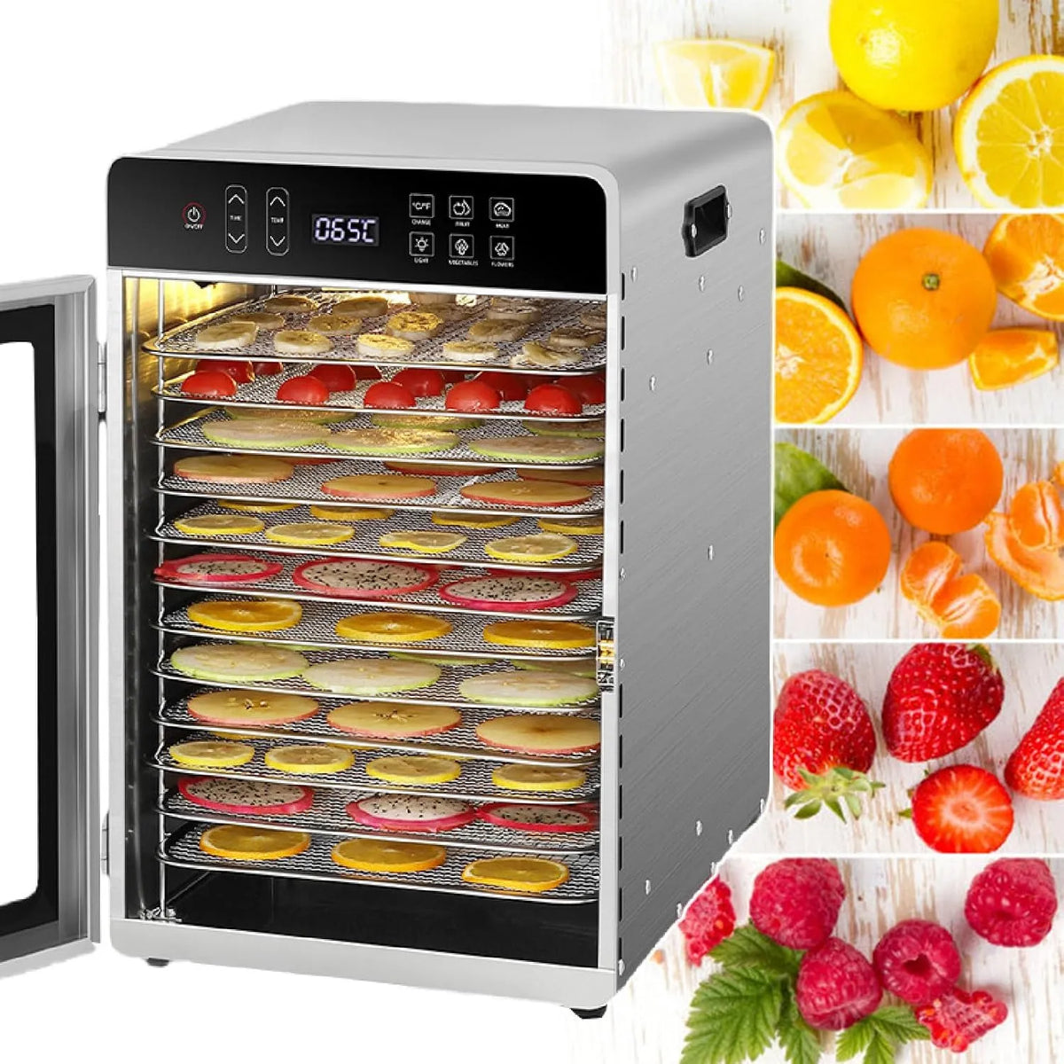 W Elektrische Droger, Fruit Groenten-Droger, 800 W Elektrische Droger met Instelbare Timer & Temperatuurregeling, 12 Roosters, Jerky 110V, Digitale